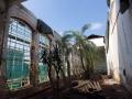 Interiér Palmového skleníku po stržení střechy