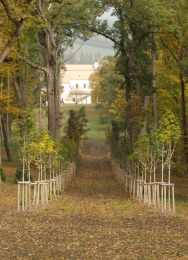 Zámecký park v Koryčanech je znovu otevřený