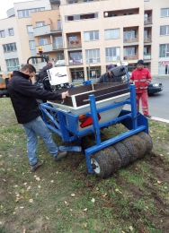 Moderní výsadba cibulovin