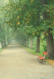 Podzámecká a Květná zahrada v Kroměříži mění od 22. 10. svou otevírací dobu