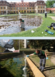 Praktické poznatky a doporučení k péči a údržbě vodních prvků památkově chráněných lokalit | Seminář