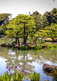 KRÁSA JAPONSKÝCH ZAHRAD | přednáška v Květné zahradě v Kroměříži